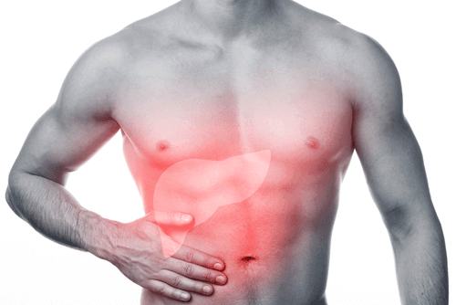 What are the causes that lead to liver disease?