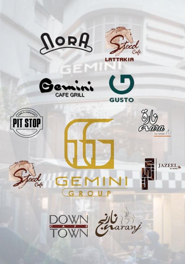 GEMINI GROUP