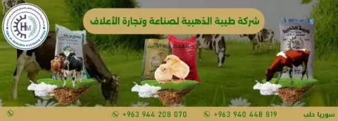 Taiba Golden Company for Feed Manufacturing and Trading