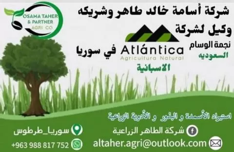 Osama Khaled Taher and Partner Company