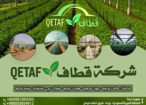Qetaf (Agricultural Services and Supplies)